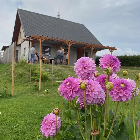 Apartman U Mateje