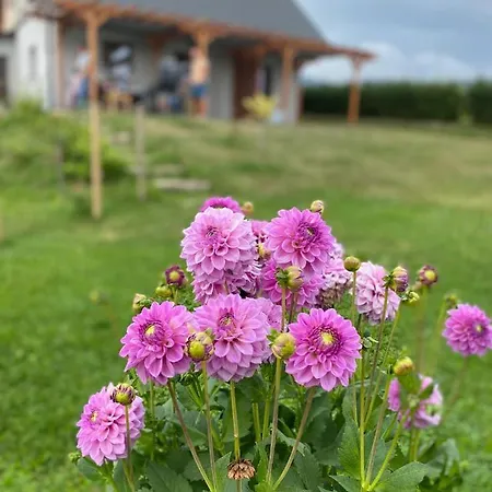 Apartman U Mateje *